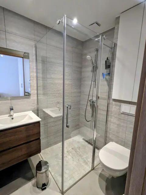 Studio Renove Coeur Pieton Thonon-les-Bains Exterior foto